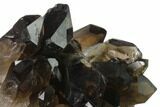 Dark Smoky Quartz Crystal Cluster - Brazil #137823-2